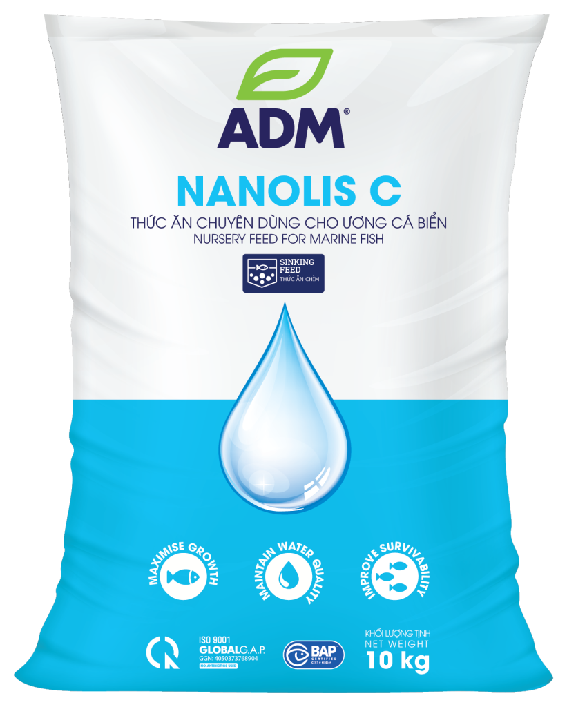 NANOLIS C