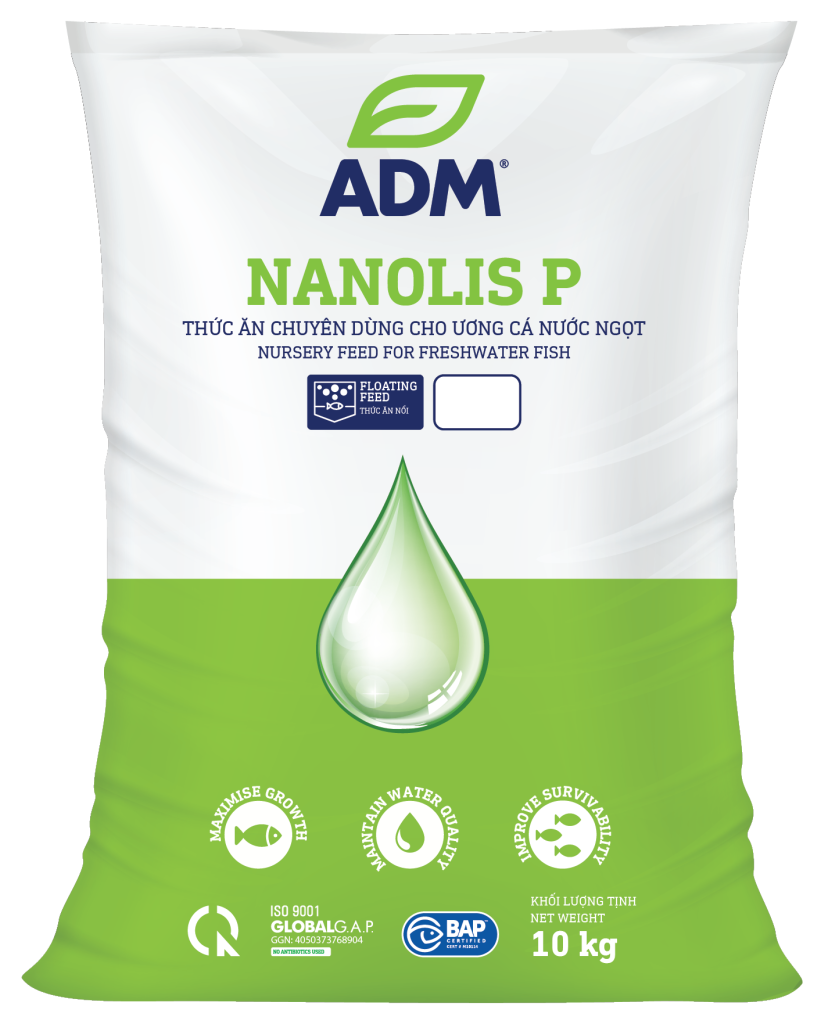 NANOLIS P